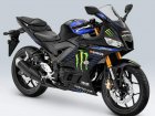 2019 Yamaha YZF-R25 Monster Energy  MotoGP Edition